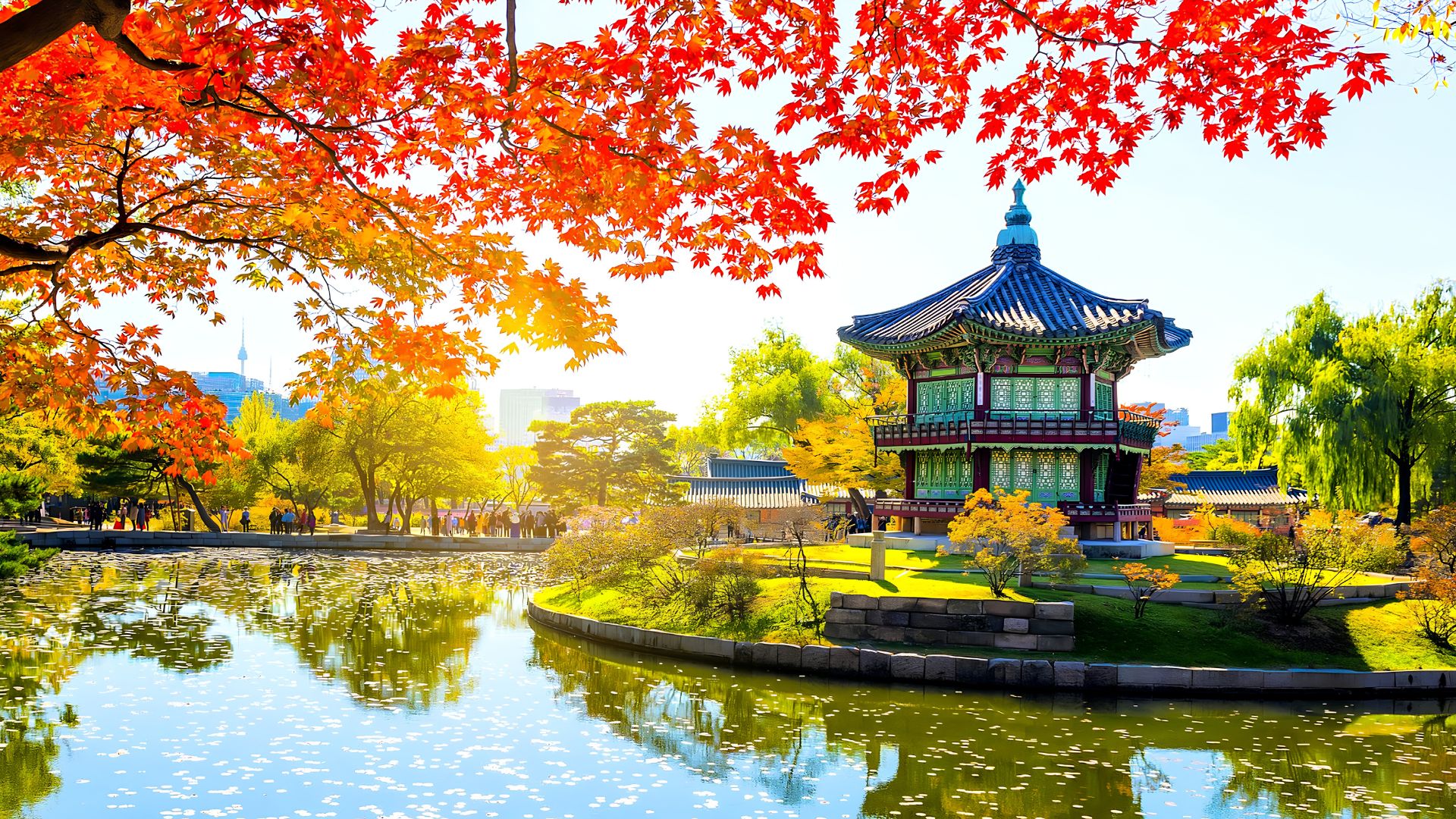Top điểm ngắm lá vàng mùa thu Hàn Quốc trên cung đường Seoul - Asan - Jeonju