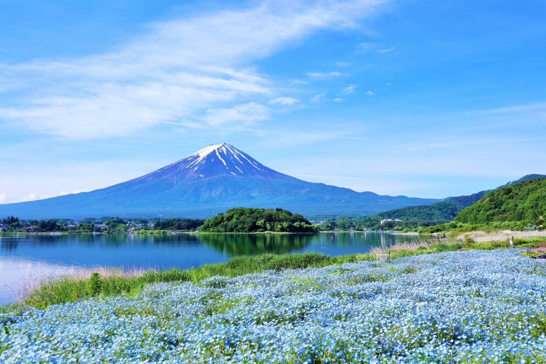 Từ Tokyo đến Hokkaido: 4 sắc màu Nhật Bản mùa hè