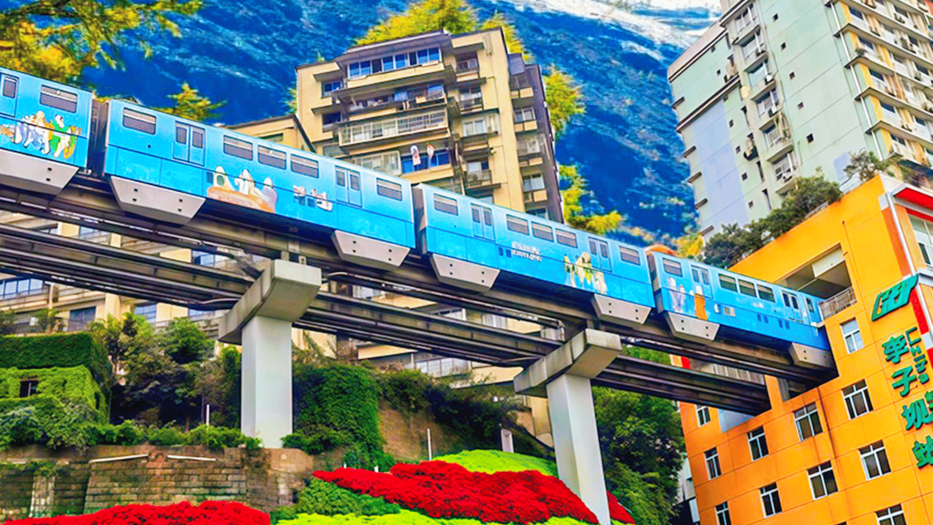 XỨ SỞ GẤU TRÚC: THÀNH ĐÔ - TRÙNG KHÁNH - TỨ XUYÊN