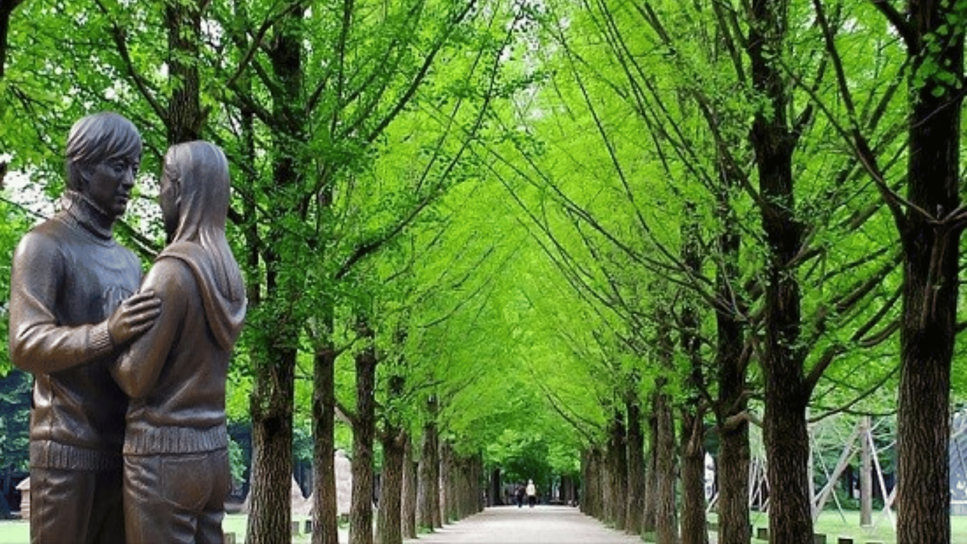 HÀN QUỐC: BUSAN - GYEONGJU - DAEGU - SEOUL