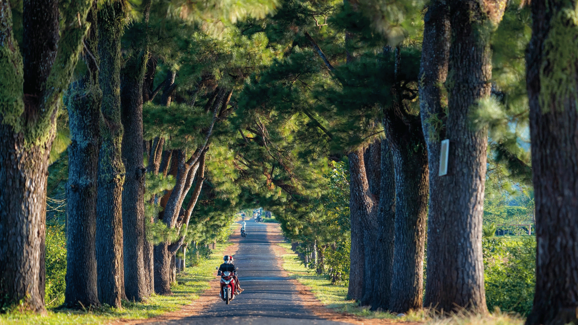 KHAI XUÂN GIỮA ĐẠI NGÀN: BÌNH ĐỊNH - KONTUM - GIA LAI - BUÔN MA THUỘT