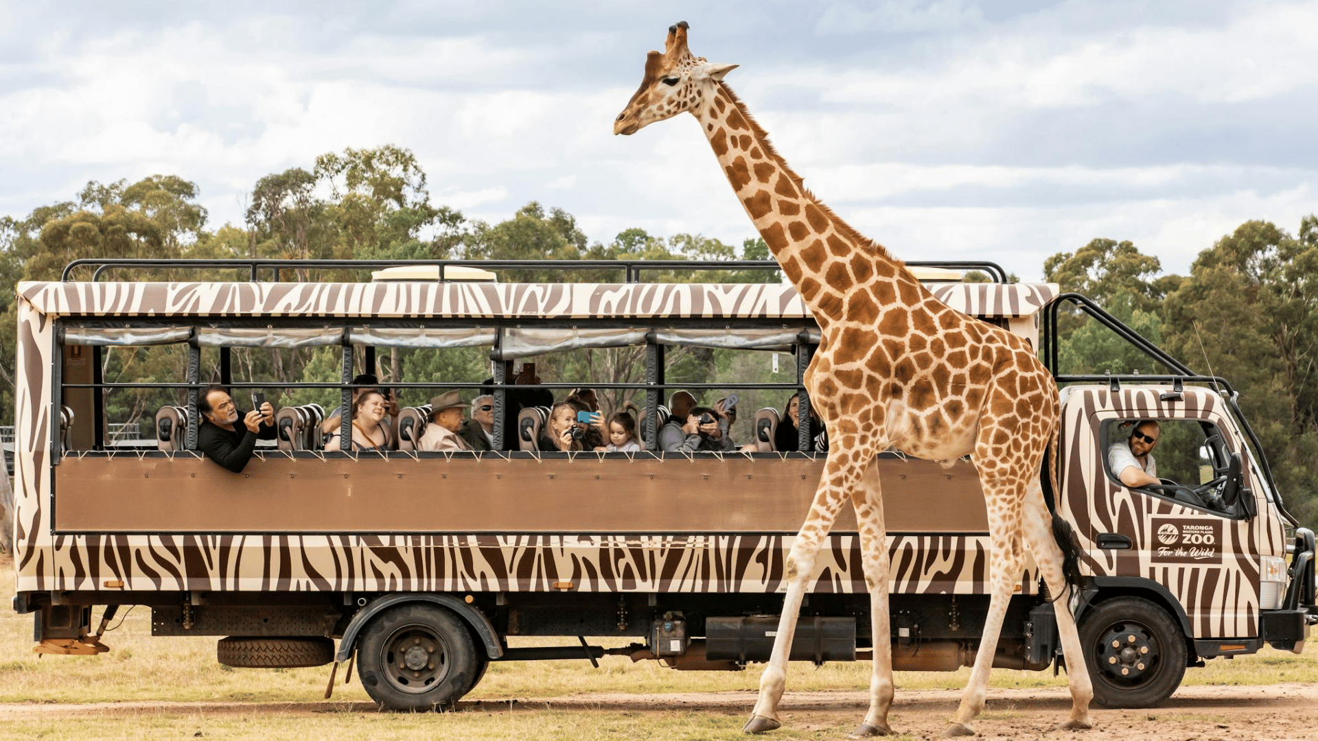 MELBOURNE - SYDNEY - VƯỜN THÚ WERRIBEE