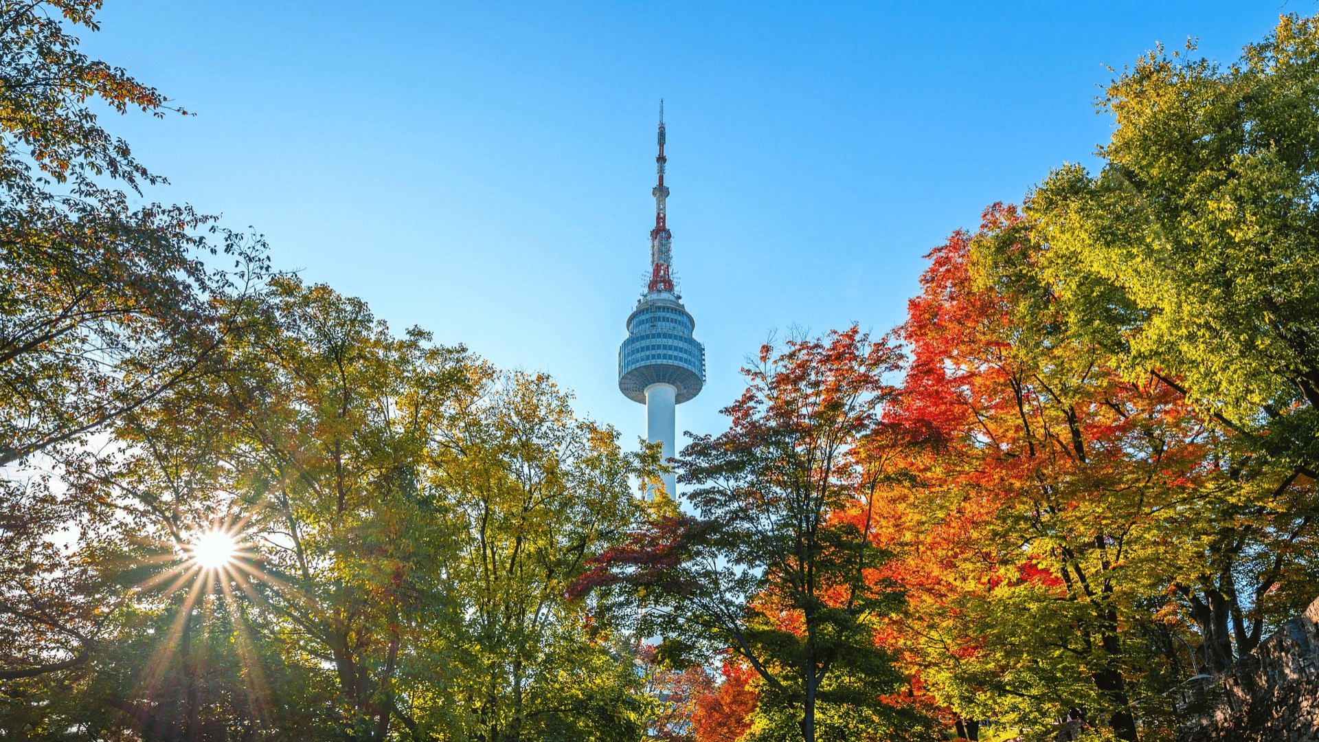 THU HÀN QUỐC: SEOUL - NAMI - POCHEON