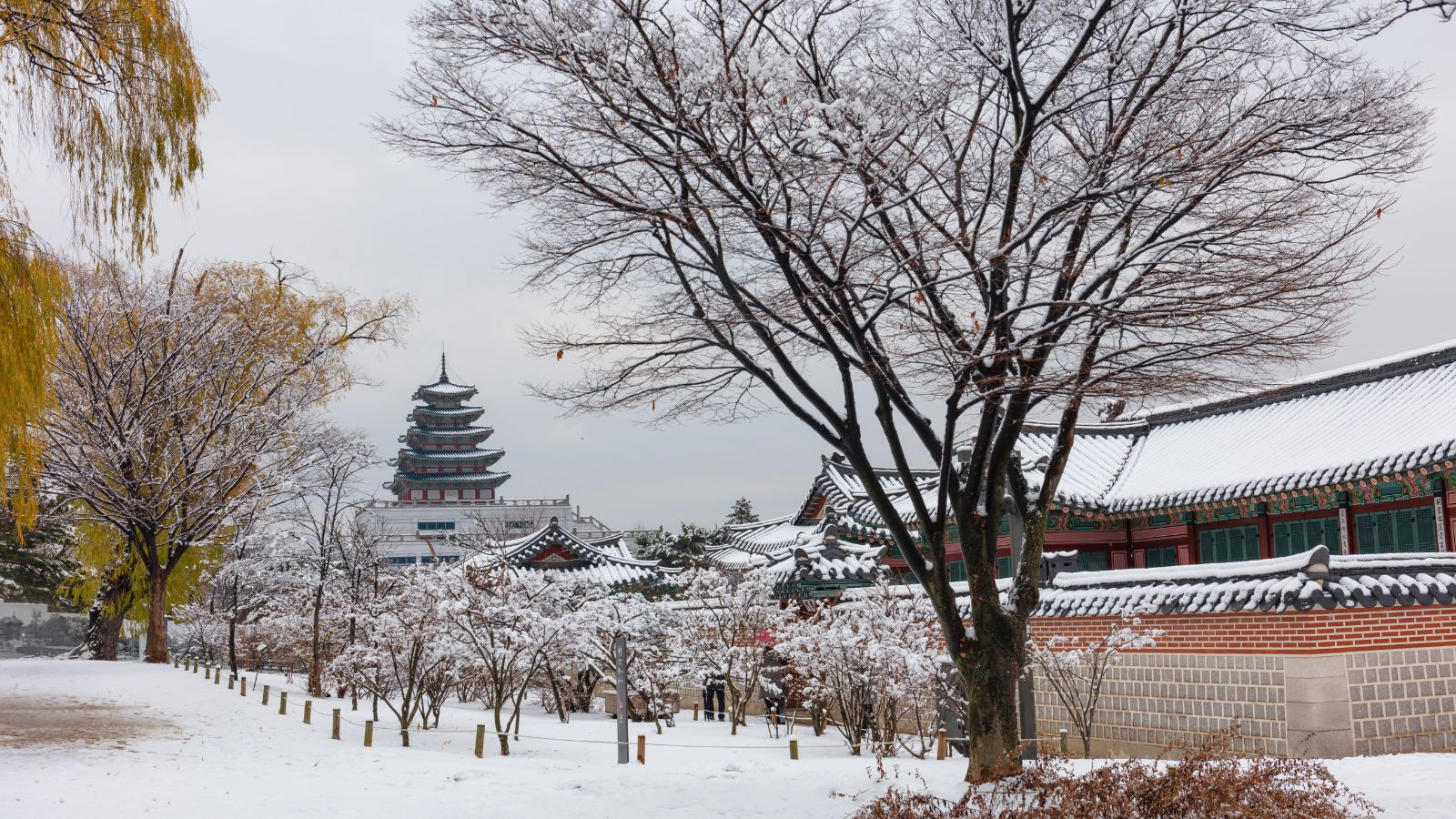 KHÁM PHÁ HÀN QUỐC MÙNG 2 TẾT (5N4D): SEOUL - POCHEON - NAMI