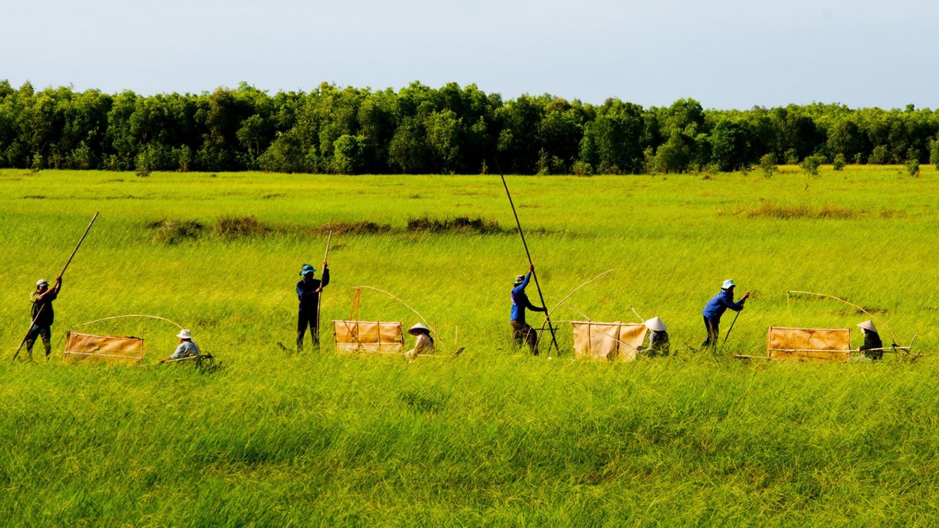 THEO DÒNG PHÙ SA: BẾN TRE - TRÀ VINH - VĨNH LONG
