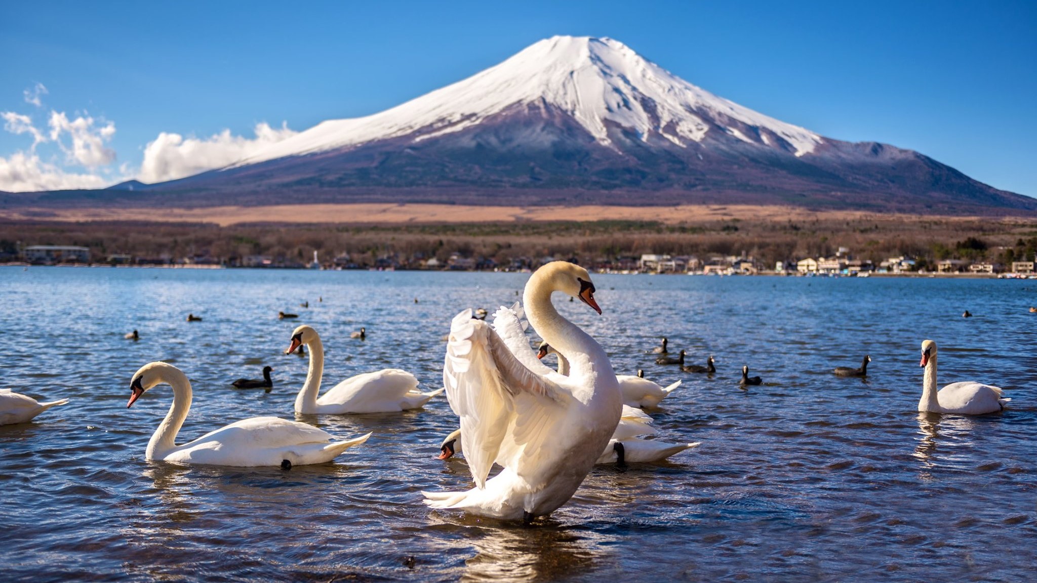 KHÁM PHÁ SẮC MÀU NHẬT BẢN - OSAKA - KOBE - YAMANASHI - TOKYO