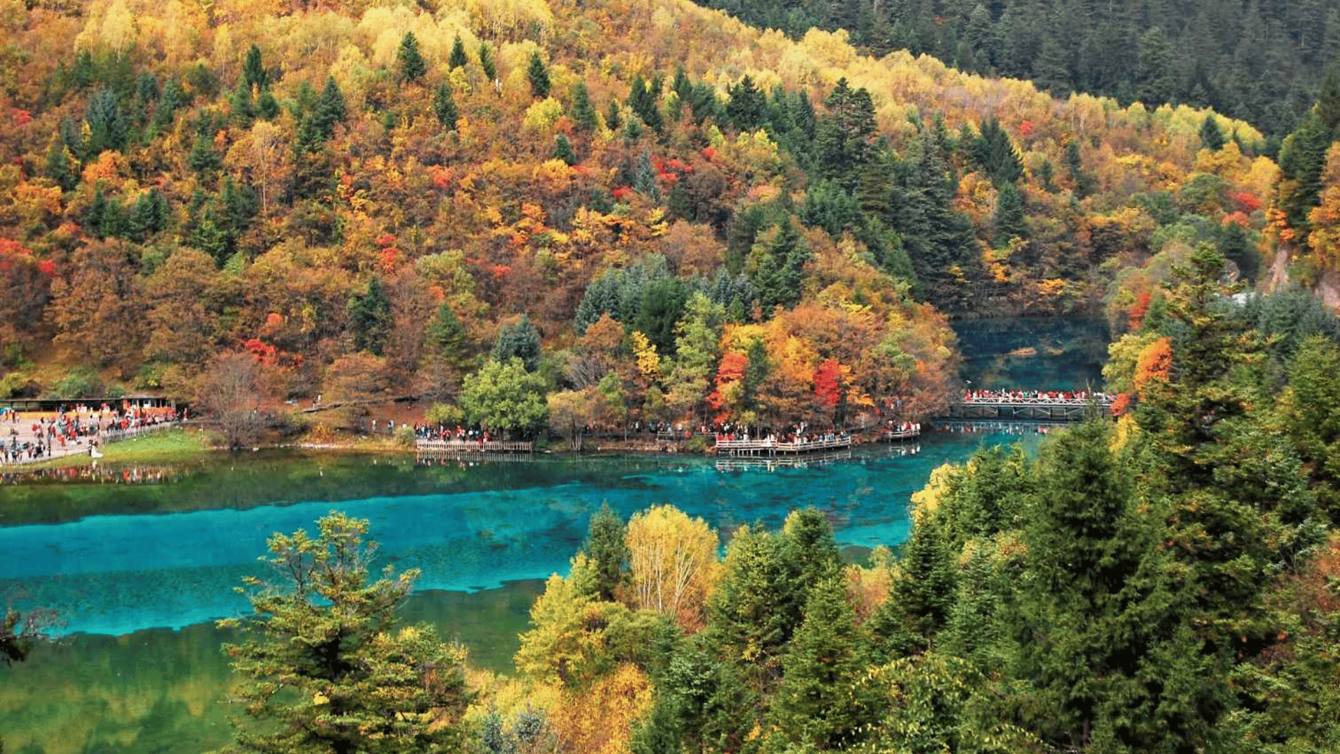 KHÁM PHÁ TUYỆT CẢNH TỨ XUYÊN: THÀNH ĐÔ - CỬU TRẠI CÂU - LẠC SƠN