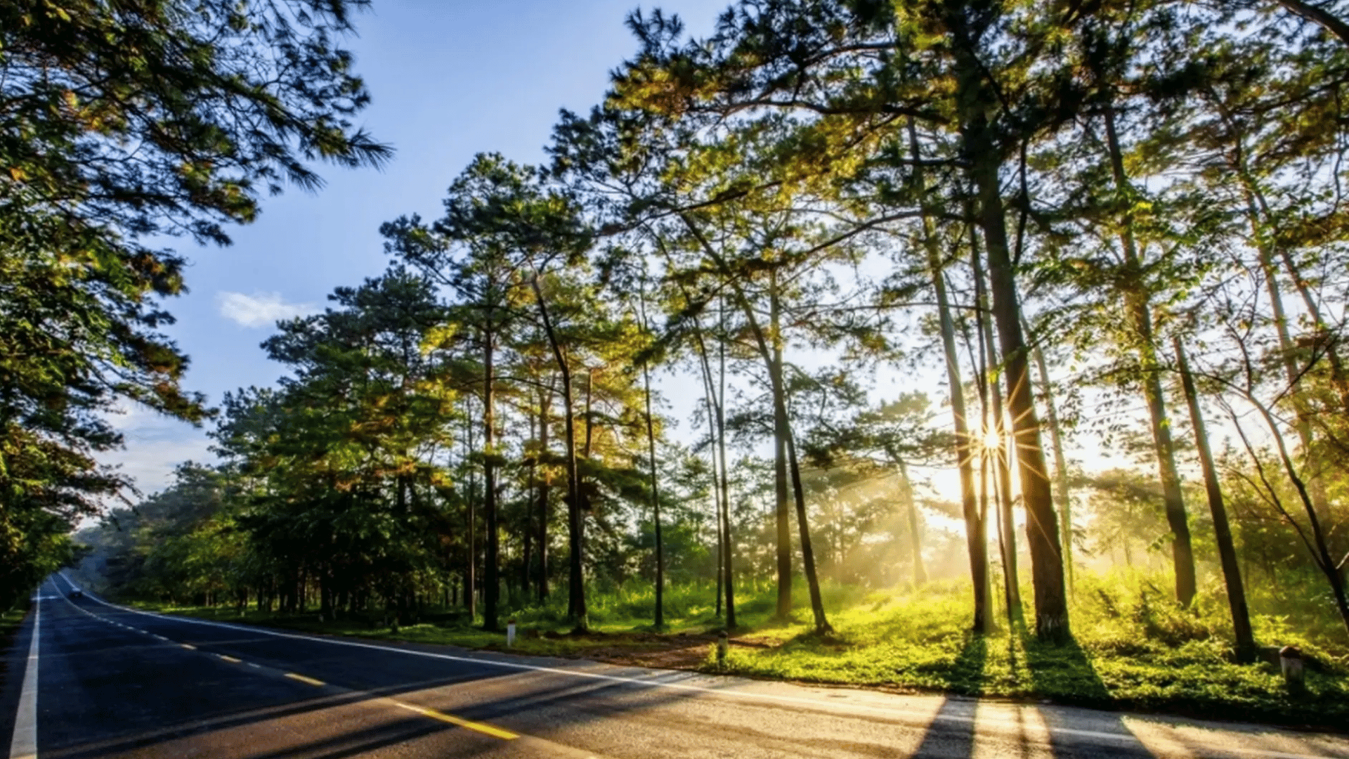 KHÁM PHÁ ĐẠI NGÀN TÂY NGUYÊN: BUÔN MA THUỘT - PLEIKU - KONTUM