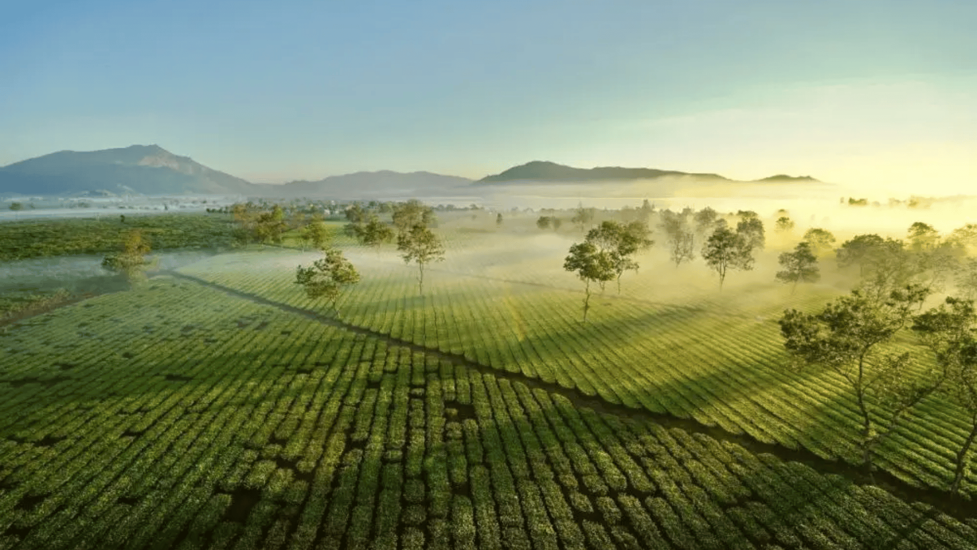 KHÁM PHÁ ĐẠI NGÀN TÂY NGUYÊN: BUÔN MA THUỘT - PLEIKU - KONTUM