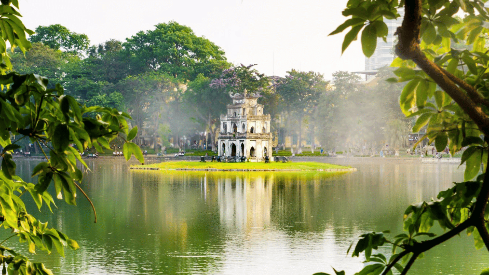 HÀNH TRÌNH CHẠM MÂY GIỮA NÚI RỪNG - HÀ NỘI - TAM ĐẢO