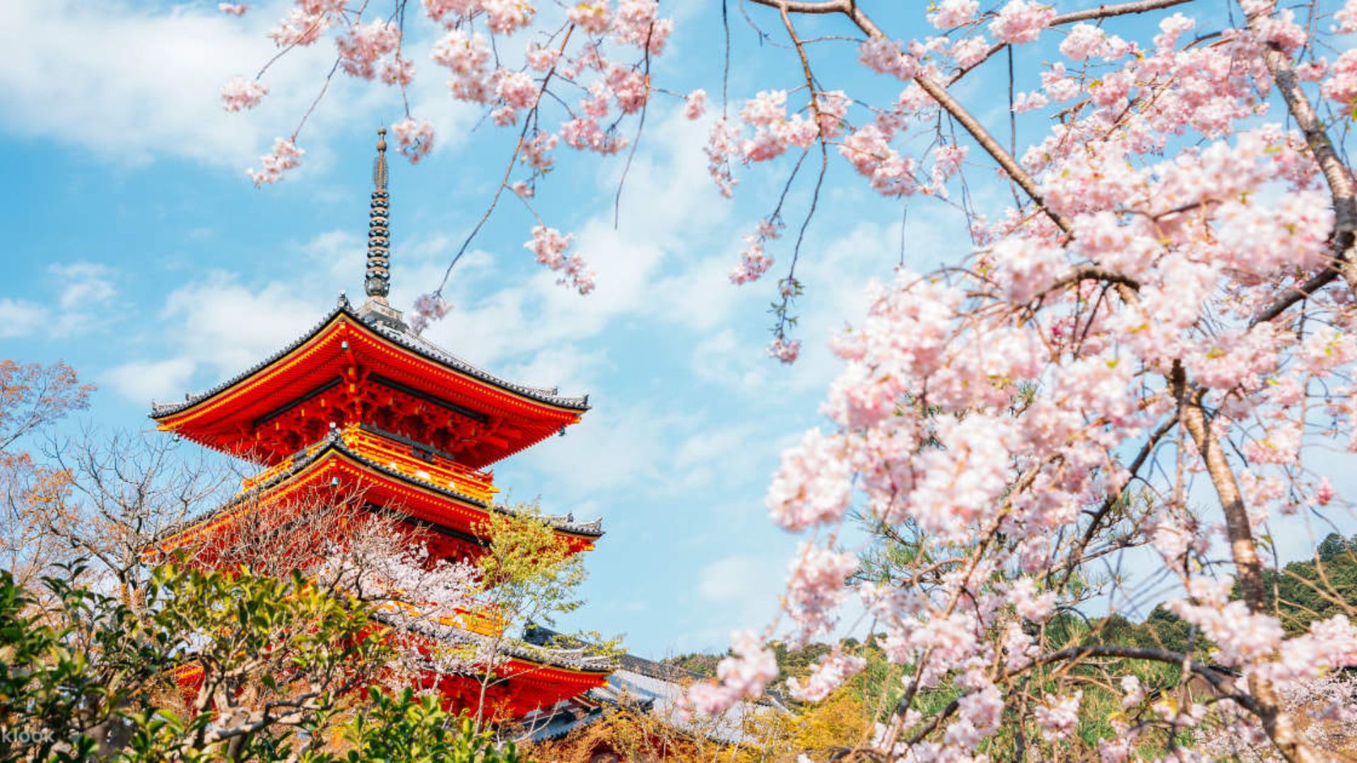 NHẬT BẢN: OSAKA – KYOTO – FUJI – TOKYO