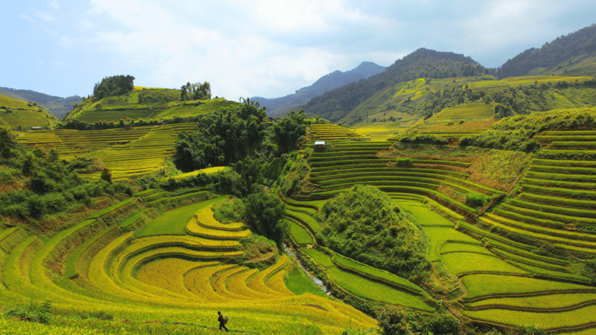 HÀNH TRÌNH KHÁM PHÁ: PÙ LUÔNG - NINH BÌNH