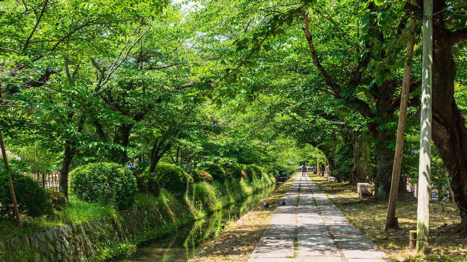CUNG ĐƯỜNG QUÝ TỘC: TOKYO - YAMANASHI - SHIRAKAWAGO - GIFU