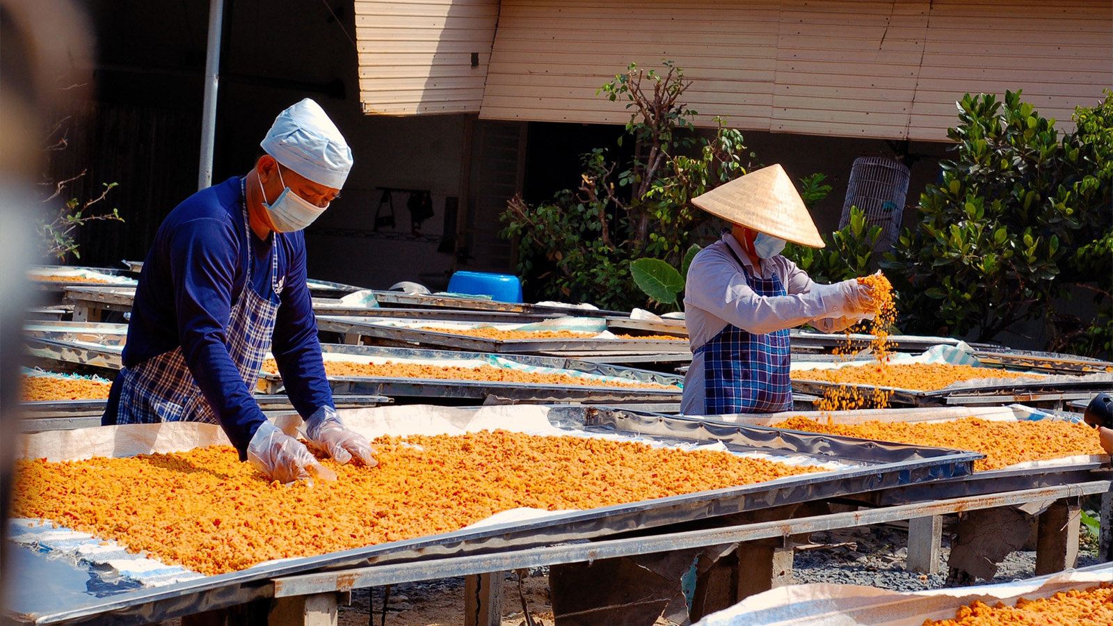 HÀNH TRÌNH KHÁM PHÁ VÙNG ĐẤT TÂM LINH - TÂY NINH - LONG AN