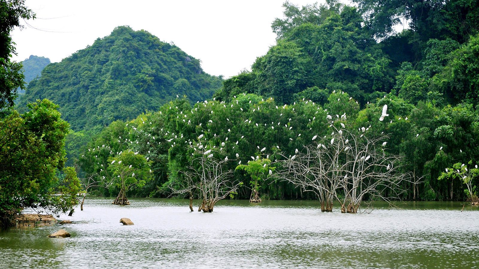 LIÊN TUYẾN PÙ LUÔNG - NINH BÌNH