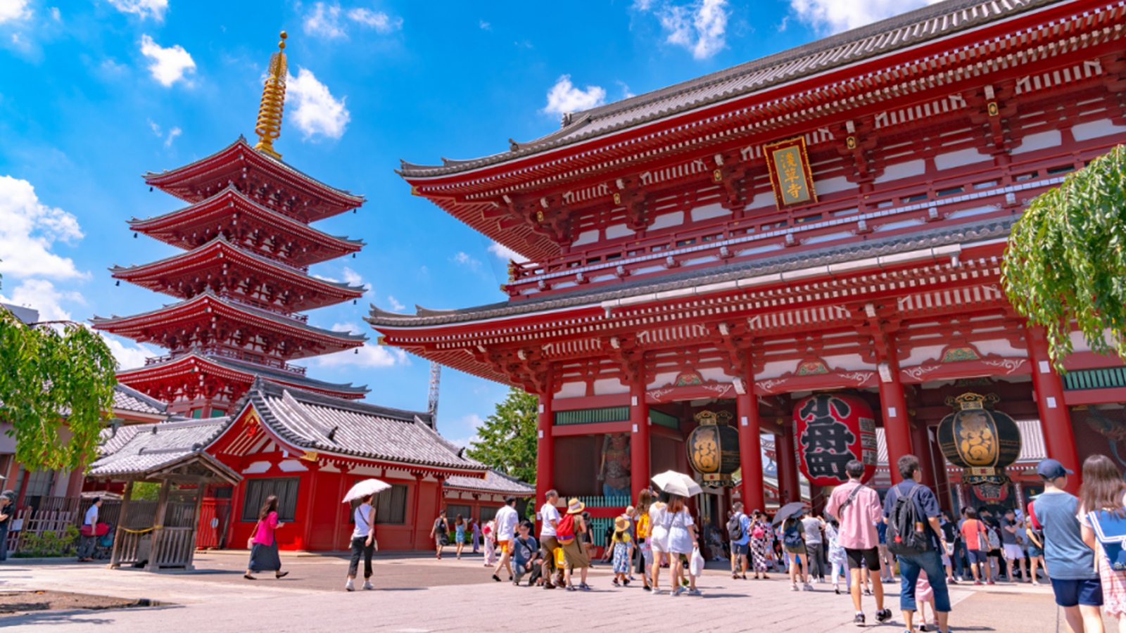 CHẠM KHÚC GIAO MÙA NHẬT BẢN: TOKYO - FUJI - HAKONE