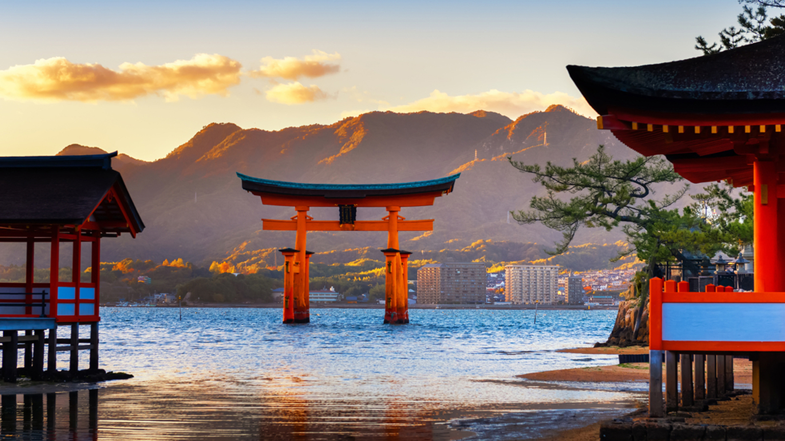 CHẠM KHÚC GIAO MÙA NHẬT BẢN: TOKYO - FUJI - HAKONE