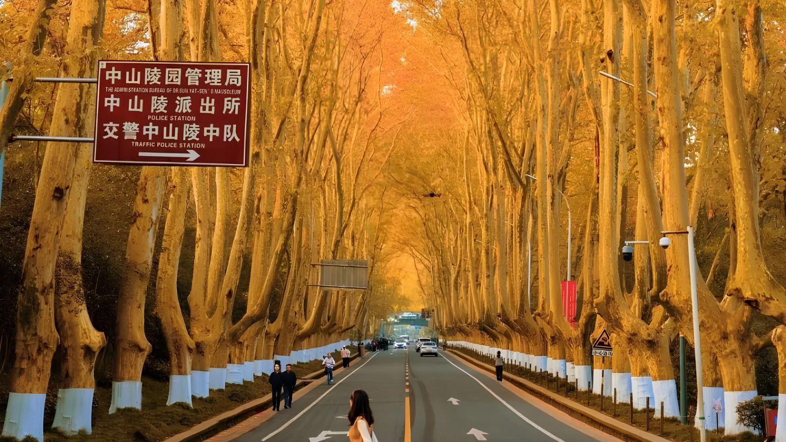 HÀNH TRÌNH KHÁM PHÁ TINH HOA GIANG NAM: THƯỢNG HẢI - TÔ CHÂU - VÔ TÍCH - NAM KINH