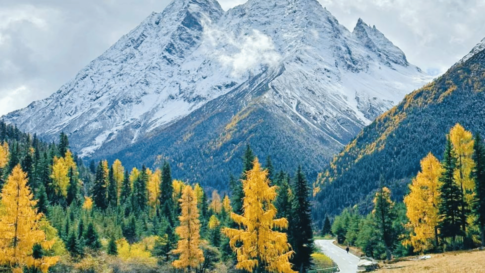 XỨ SỞ GẤU TRÚC: THÀNH ĐÔ - TRÙNG KHÁNH - TỨ XUYÊN