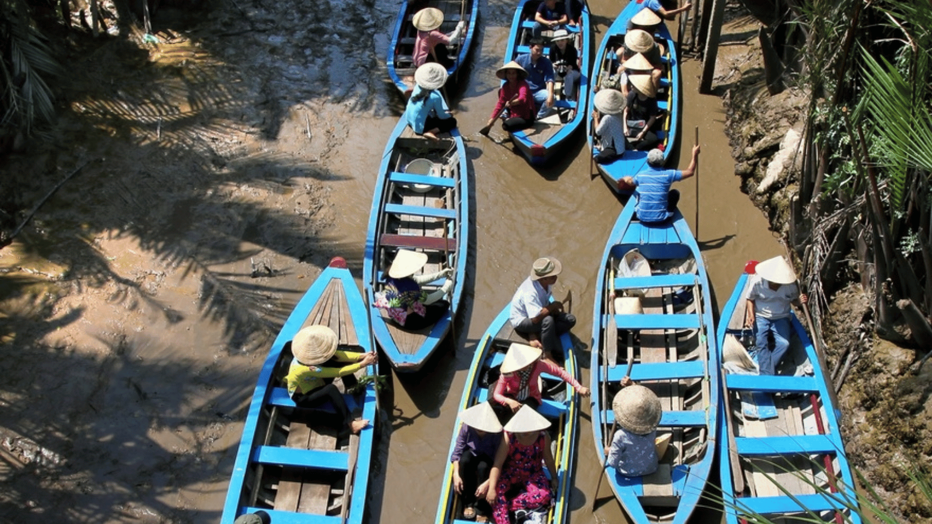 HÀNH TRÌNH MIỆT VƯỜN - GHÉ THĂM CỒN PHỤNG