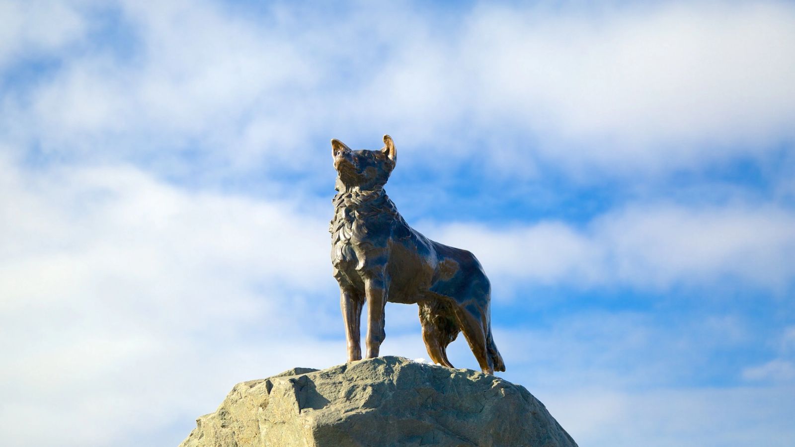 Tour New Zealand Nam Đảo: Christchurch – Lake Tekapo – Mt Cook