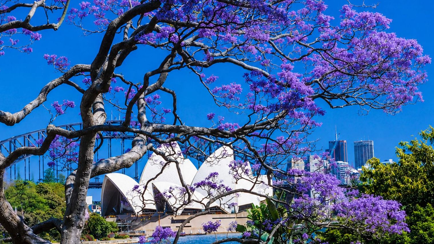 KHÁM PHÁ SẮC MÀU NƯỚC ÚC: MELBOURNE - WERRIBEE - SYDNEY