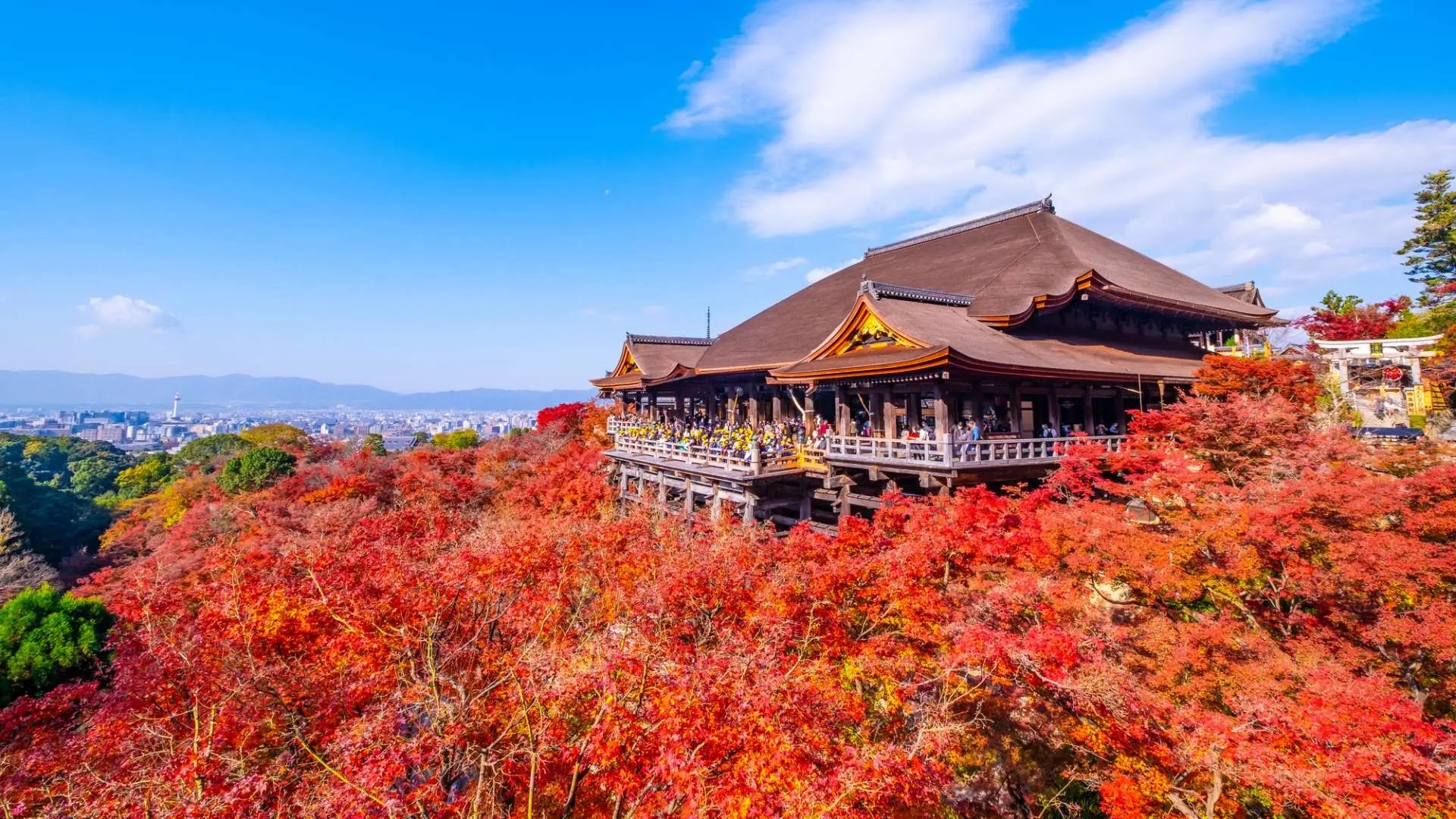 CUNG ĐƯỜNG VÀNG NHẬT BẢN MÙA THU: OSAKA - KOBE - YAMANASHI - TOKYO