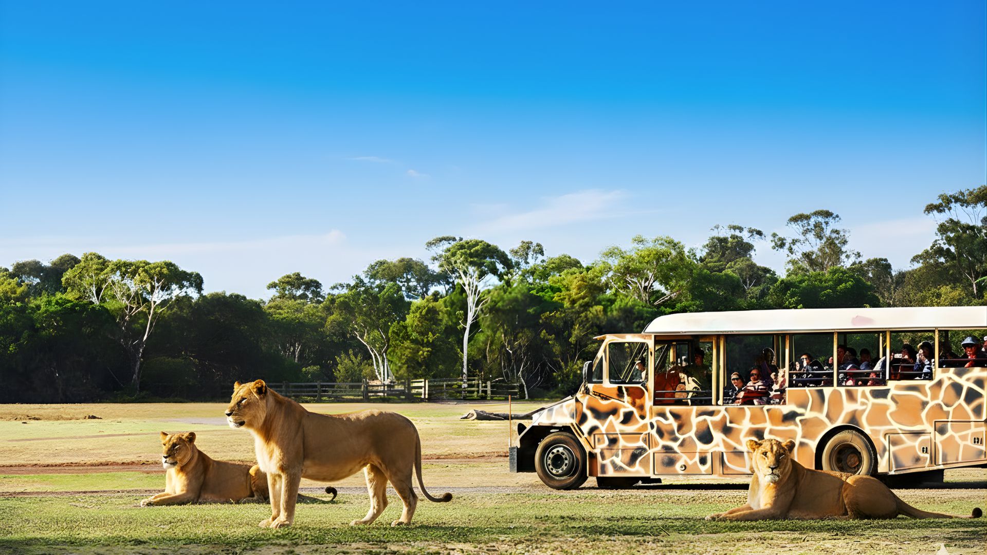 MELBOURNE - SYDNEY - VƯỜN THÚ WERRIBEE