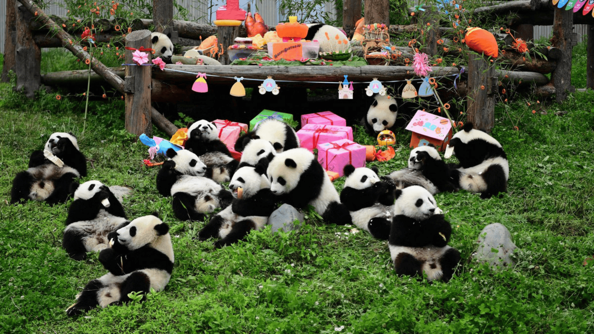 TUYỆT TÁC THIÊN NHIÊN TỨ XUYÊN: THÀNH ĐÔ - CỬU TRẠI CÂU - LẠC SƠN