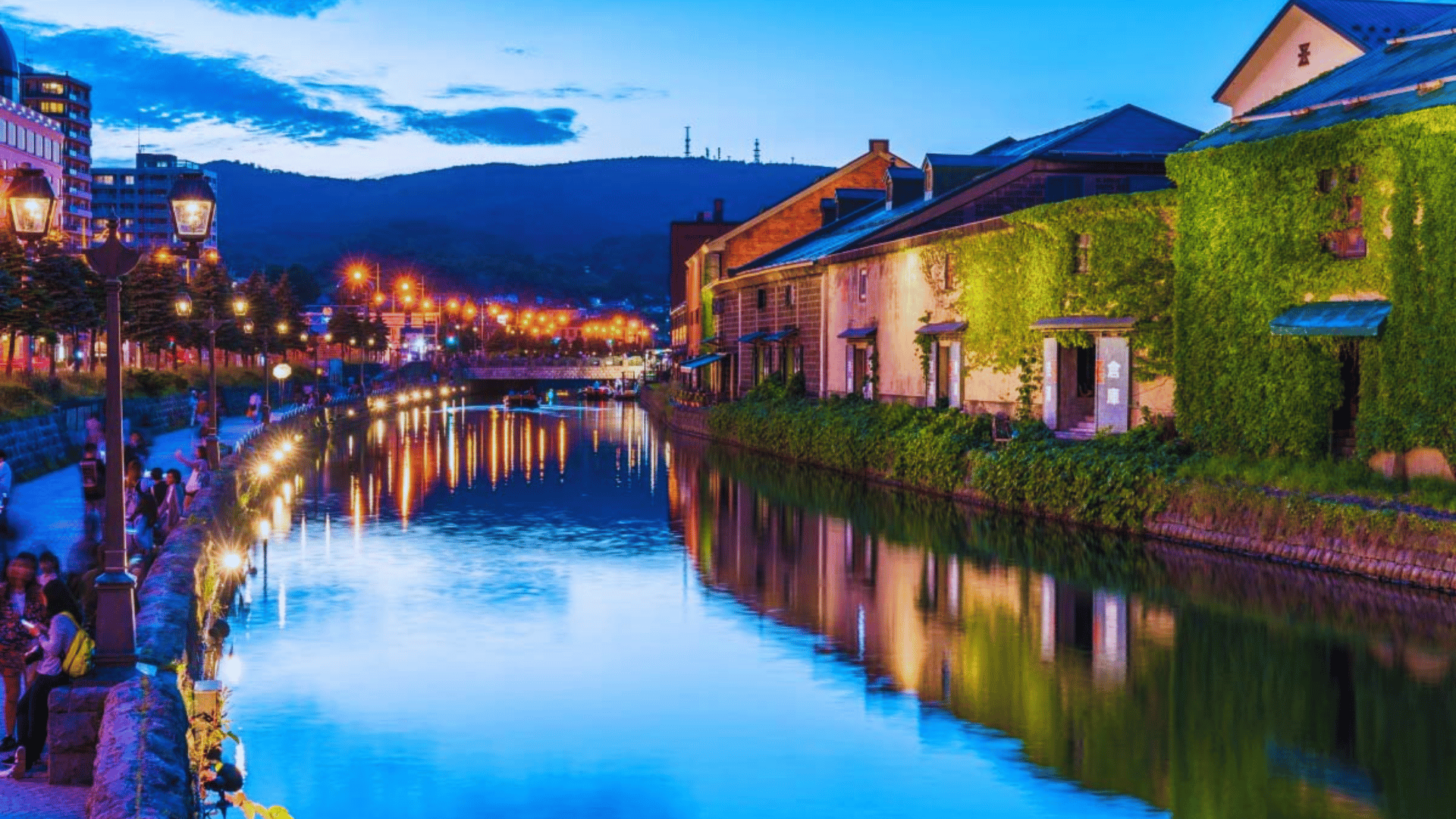 NGẮM HOA LAVENDER: SAPPORO - CHITOSE - NOBORIBETSU