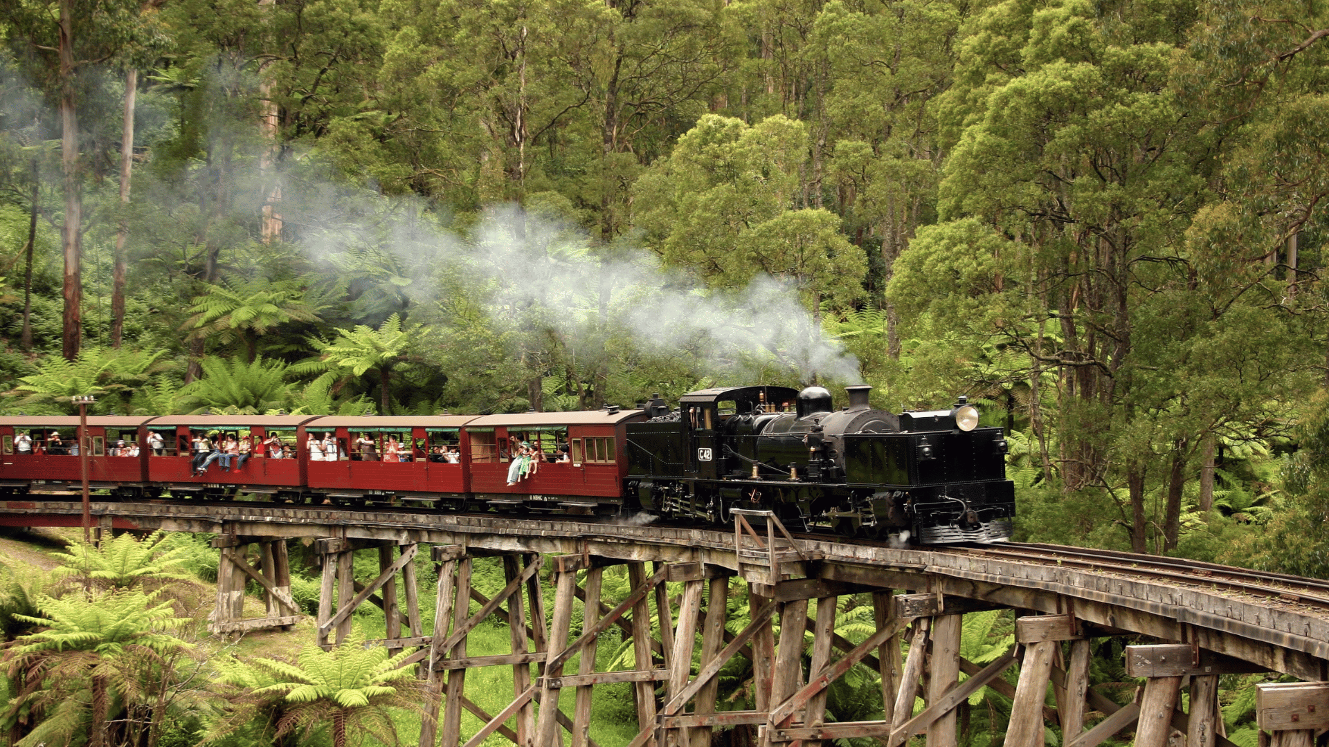 SẮC MÀU NƯỚC ÚC: MELBOURNE - DANDENONG - YARRA VALLEY - SYDNEY