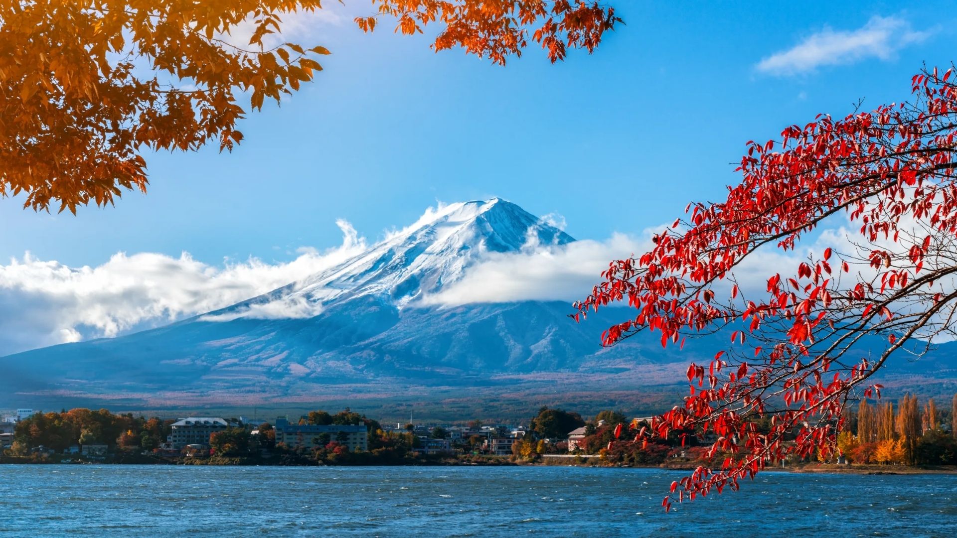 SẮC THU TRÊN CUNG ĐƯỜNG VÀNG NHẬT BẢN: OSAKA – KYOTO – FUJI – TOKYO