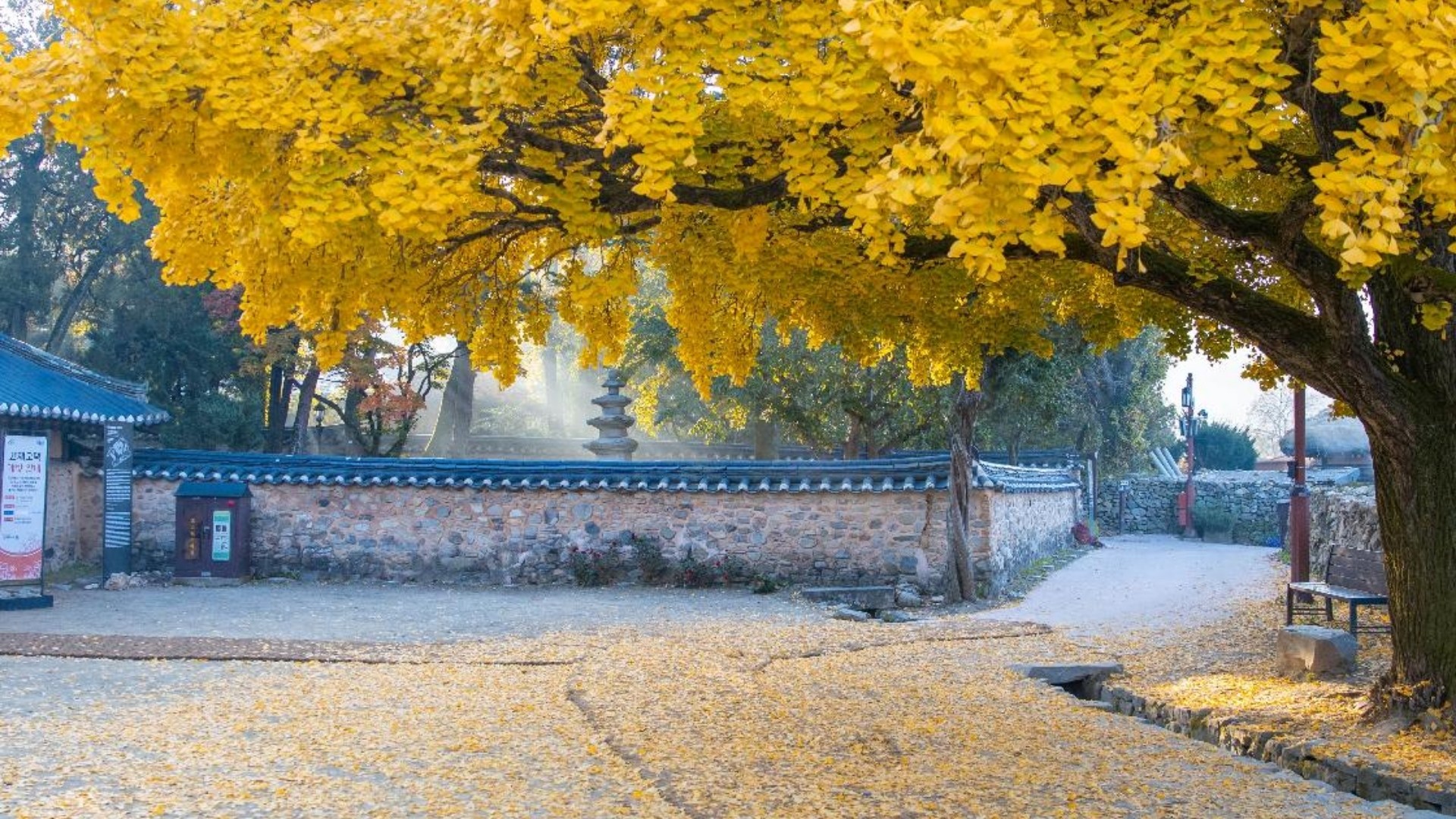 THEO DẤU MÙA THU HÀN QUỐC TRÊN CUNG ĐƯỜNG SEOUL - ASAN - JEONJU