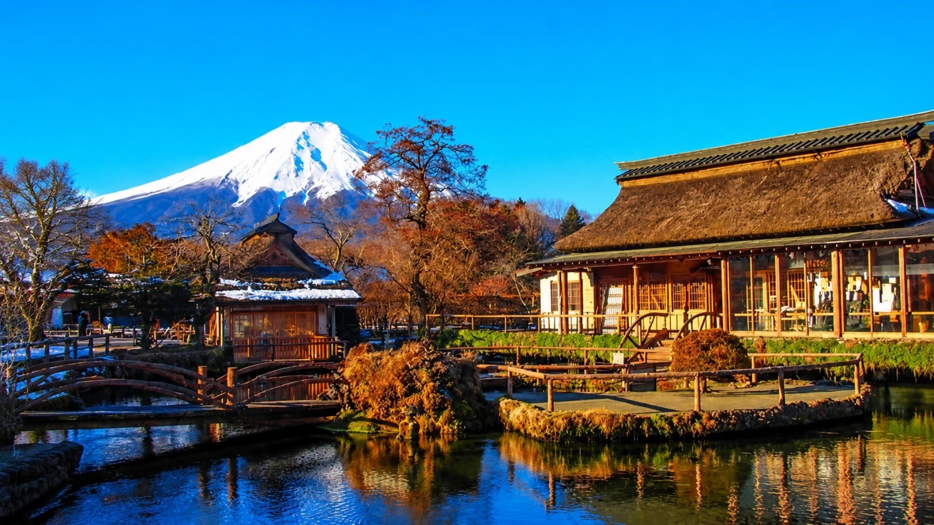 SẮC THU TRÊN CUNG ĐƯỜNG VÀNG NHẬT BẢN: OSAKA – KYOTO – FUJI – TOKYO