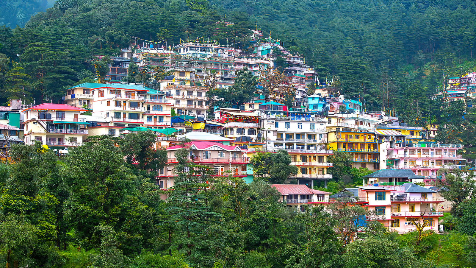 HÀNH HƯƠNG DELHI - DHARAMSHALA: THEO DẤU ĐỨC ĐẠT LAI LẠT MA