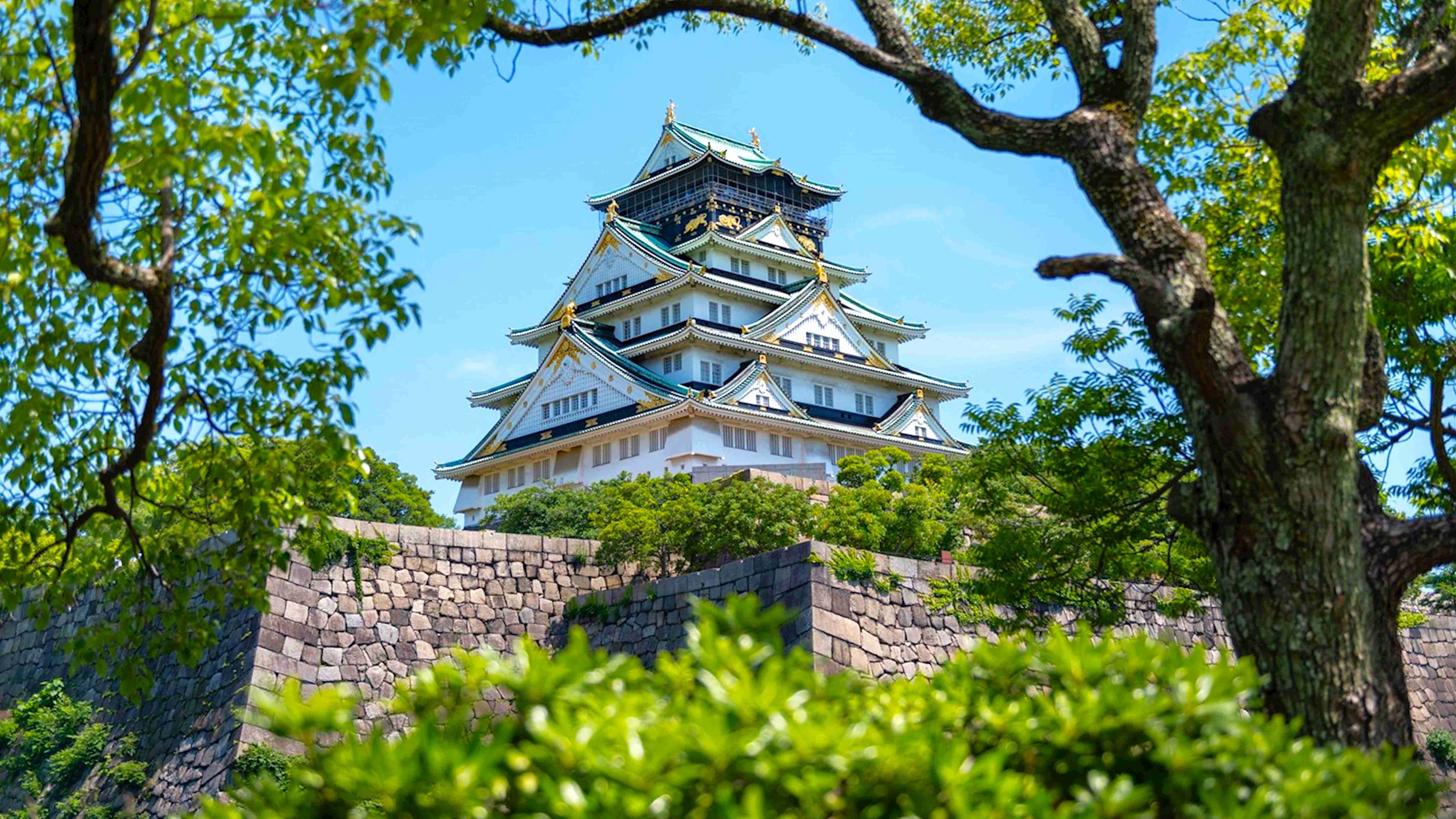 MÙA HÈ NHẬT BẢN: OSAKA - KYOTO - FUJI - TOKYO