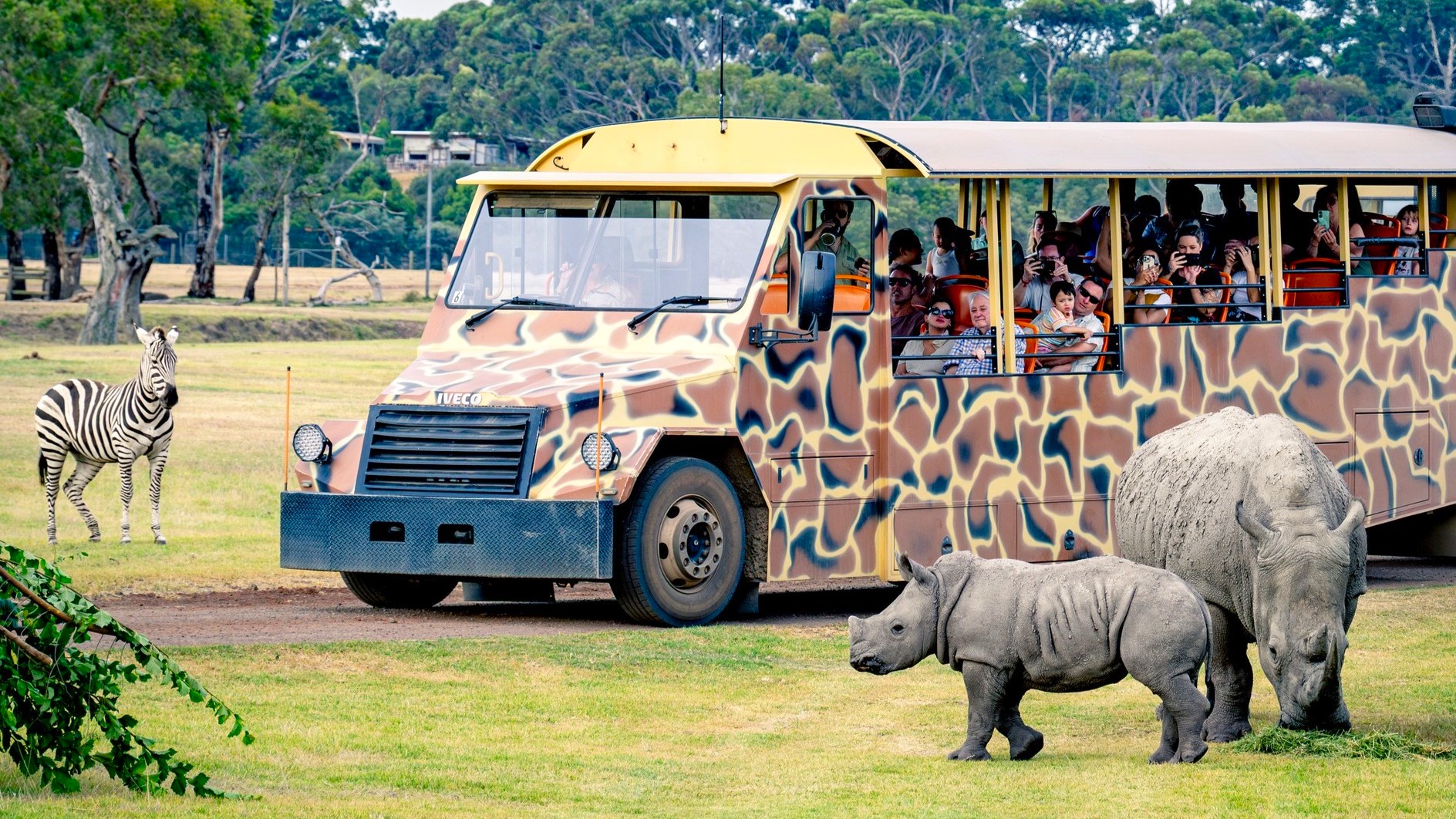 ĐÓN GIAO THỪA TẠI SYDNEY