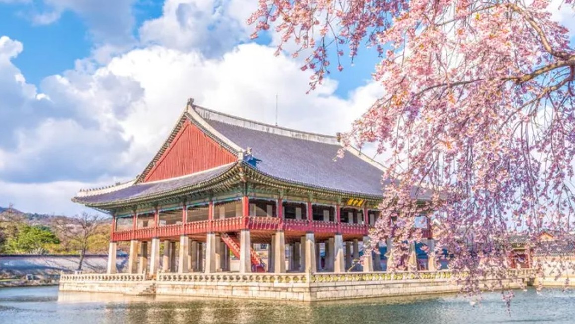 DU XUÂN HÀN QUỐC: BUSAN - SEOUL