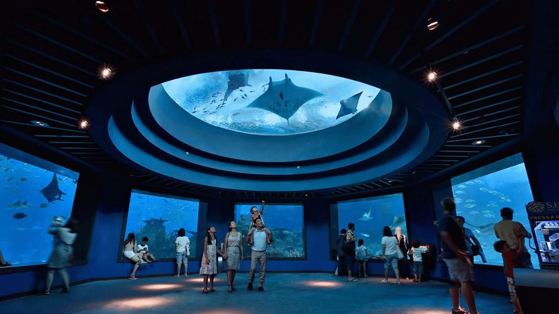 VÉ THỦY CUNG SINGAPORE OCEANARIUM