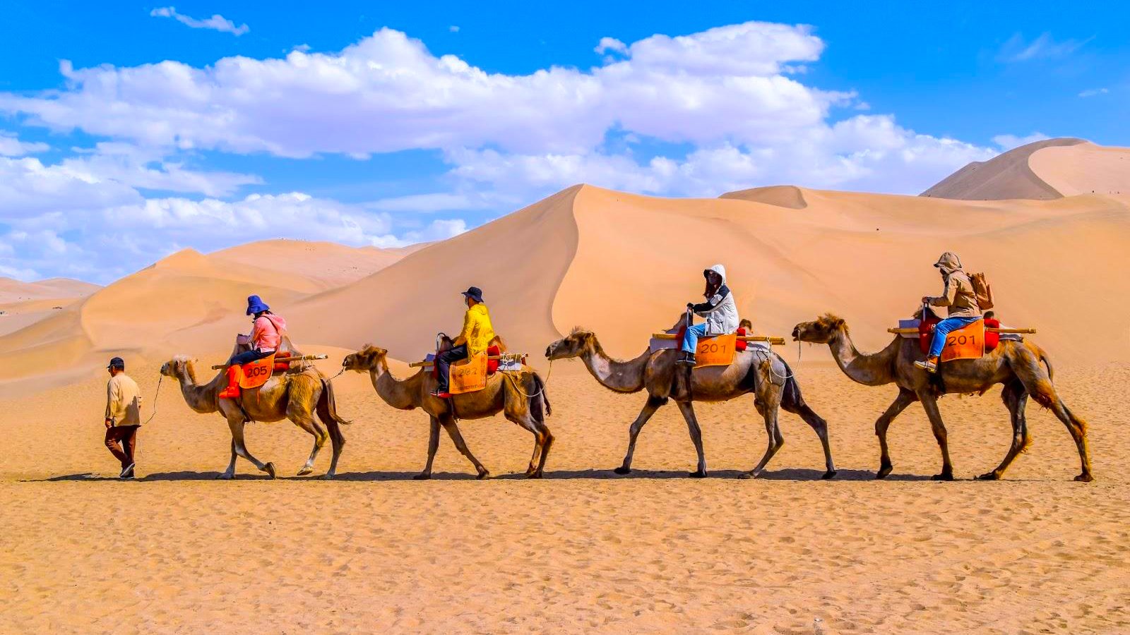 CON ĐƯỜNG TƠ LỤA: TÂY AN - ĐÔN HOÀNG - GIA DỤC QUAN TRƯƠNG DỊCH - TÂY NINH