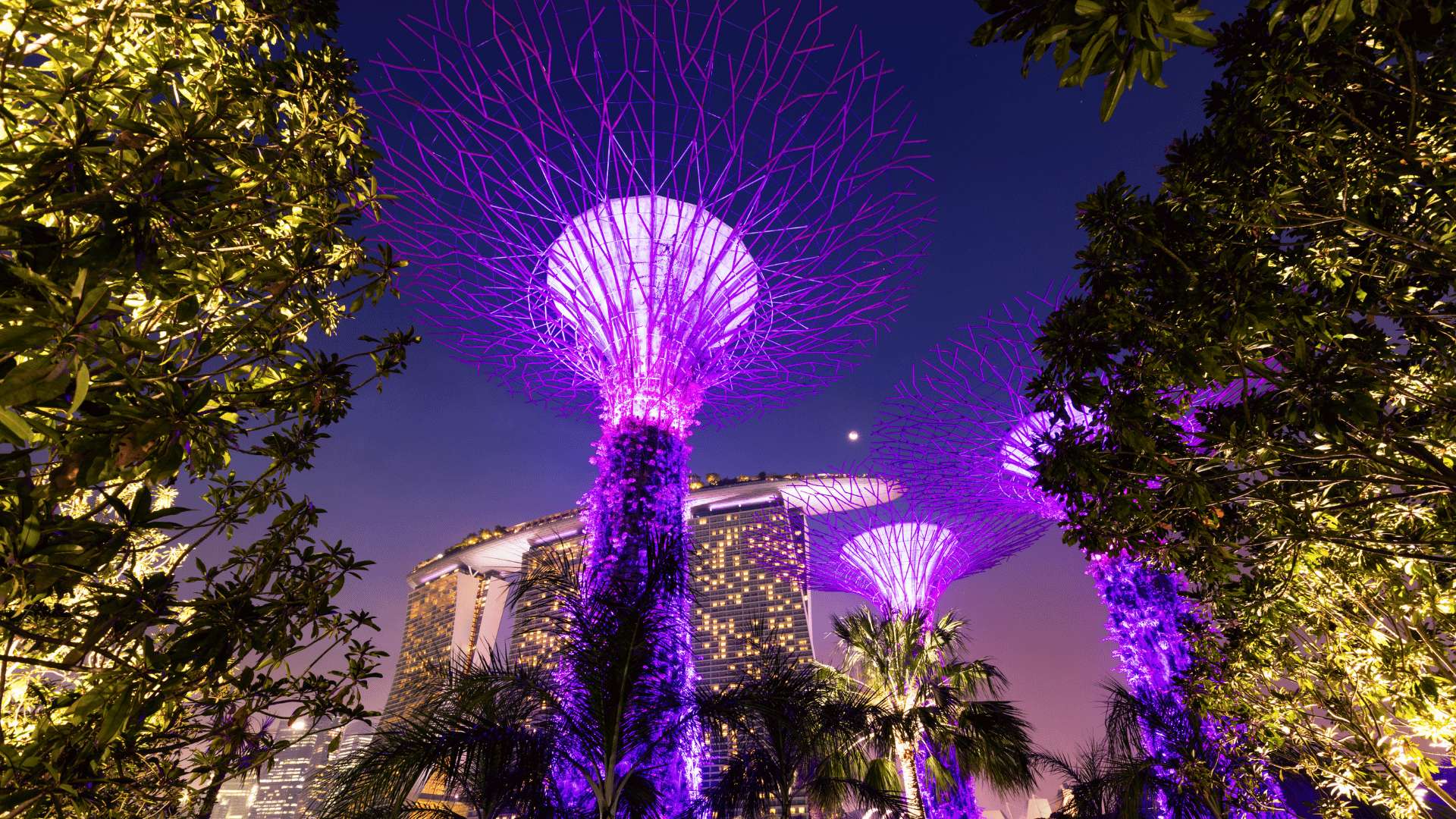 LIÊN TUYẾN SINGAPORE - MALAYSIA