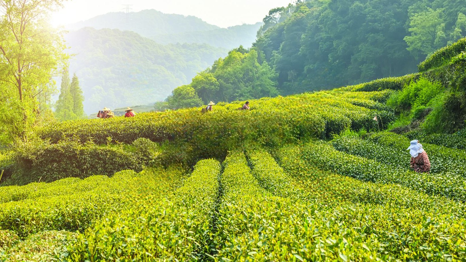 GIẤC MỘNG GIANG NAM 1314: HÀNG CHÂU – BỘC VIỆN CỔ TRẤN