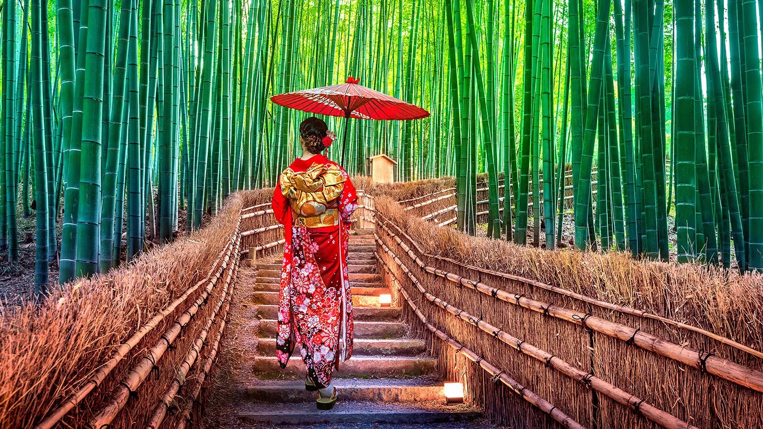 MÙA HÈ NHẬT BẢN: TOKYO - FUJI - KYOTO - KOBE - OSAKA