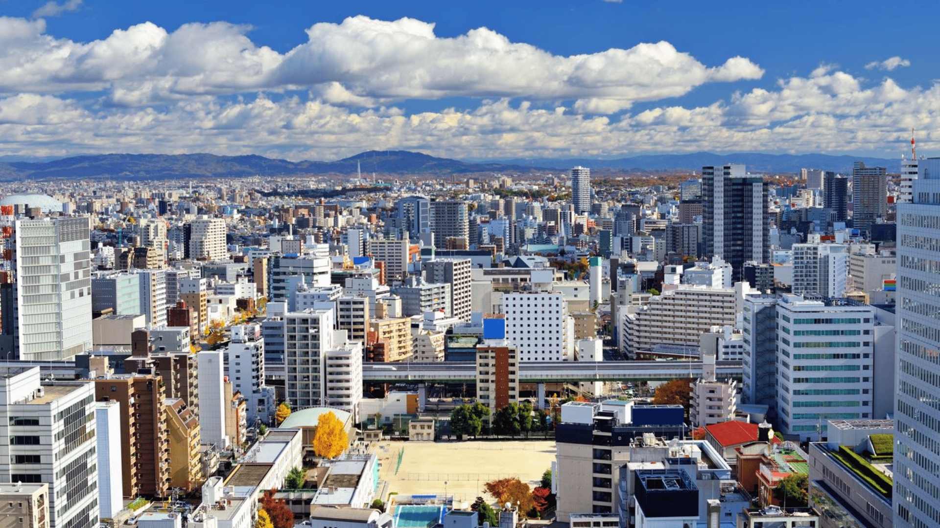 TRẢI NGHIỆM TINH HOA NHẬT BẢN: TOKYO - FUJI - NAGOYA - OSAKA