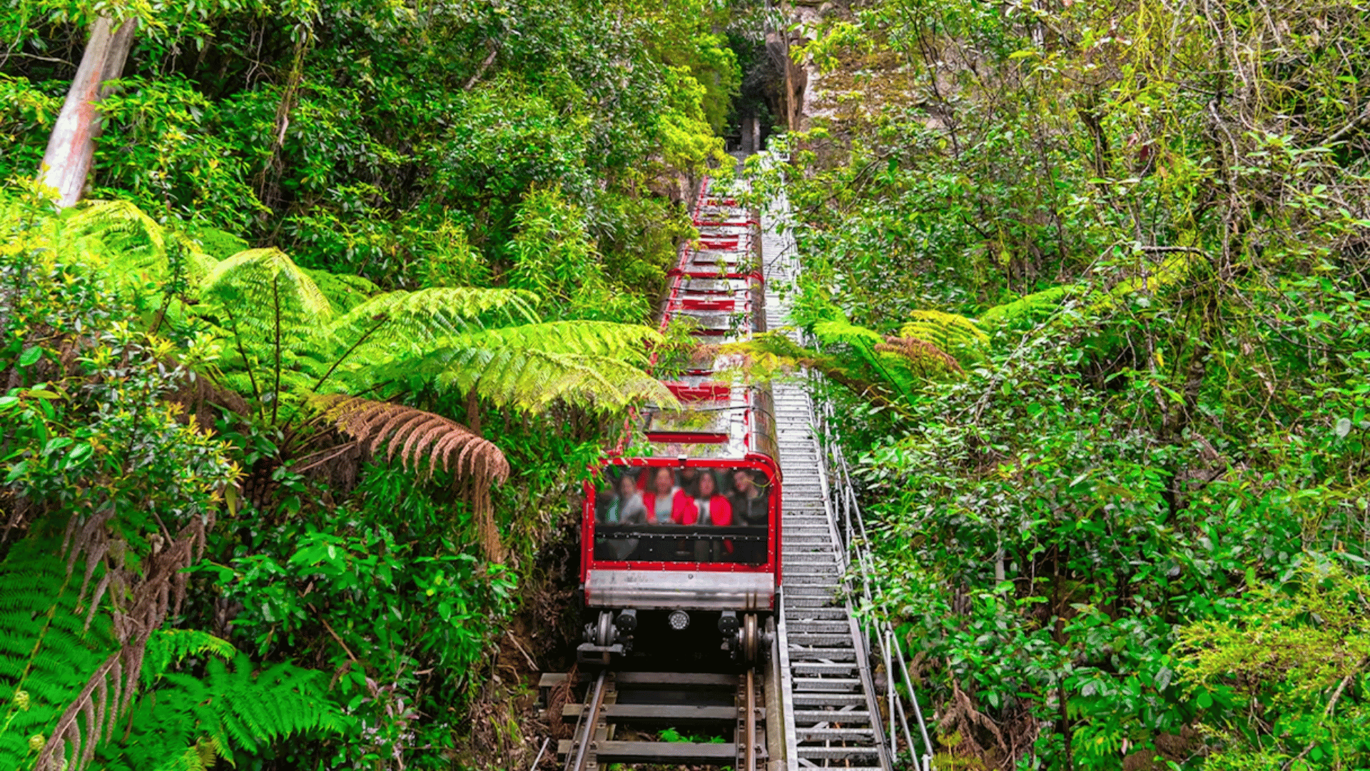 CHẠM VÀO MÙA ĐÔNG NƯỚC ÚC: SYDNEY - MELBOURNE - MOUNT BULLER