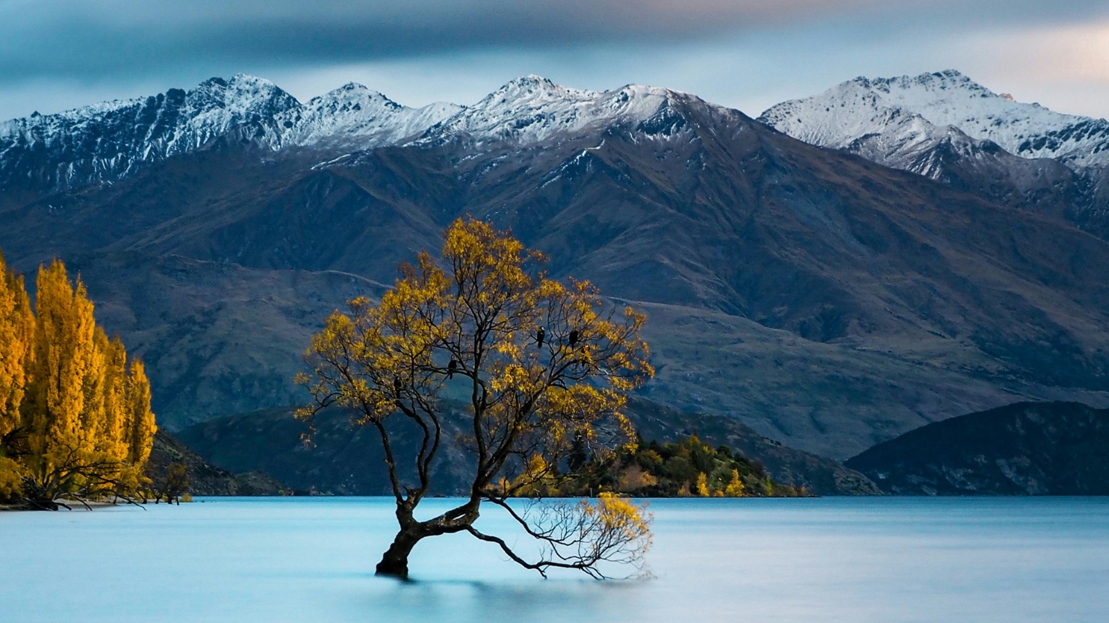 Tour New Zealand Nam Đảo: Christchurch – Lake Tekapo – Mt Cook