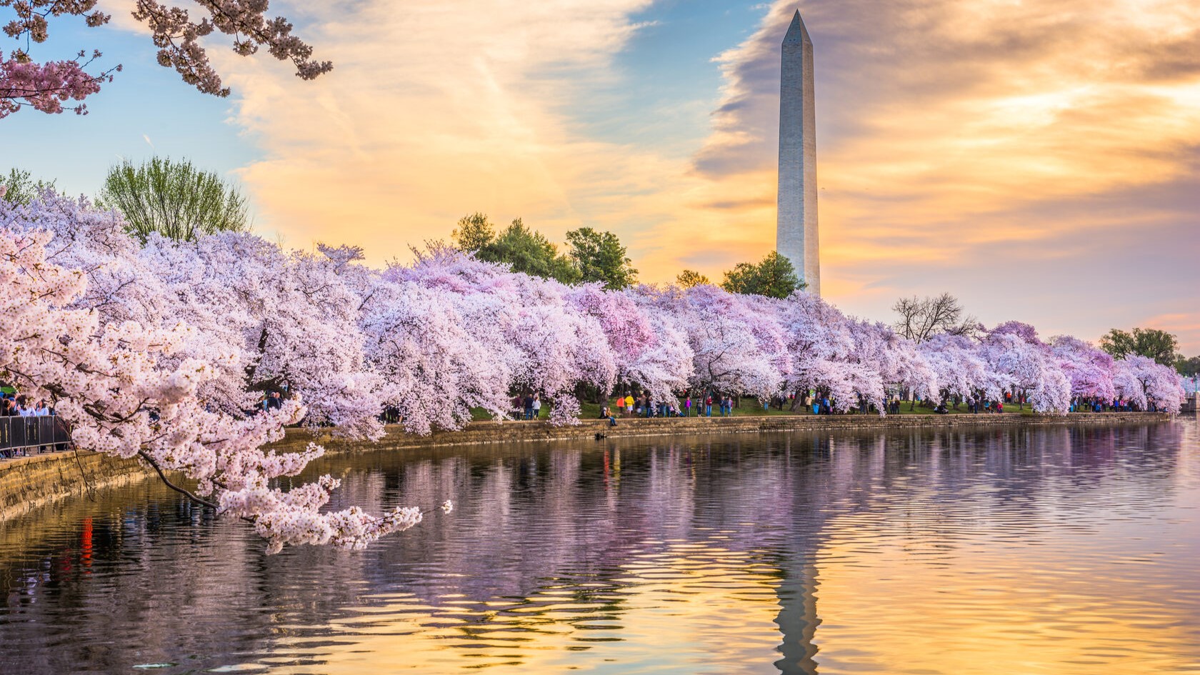 DU XUÂN BỜ ĐÔNG HOA KỲ: NEW YORK - PHILADELPHIA - WASHINGTON D.C