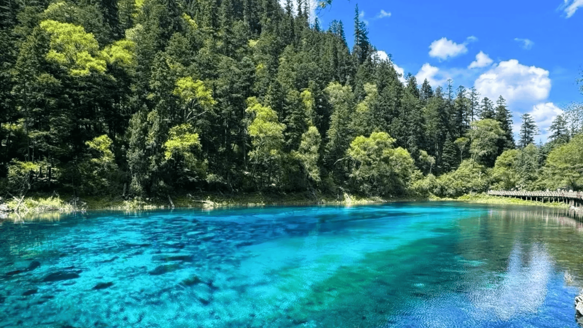 TUYỆT TÁC THIÊN NHIÊN TỨ XUYÊN: THÀNH ĐÔ - CỬU TRẠI CÂU - LẠC SƠN