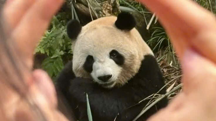 TUYỆT SẮC TỨ XUYÊN TRUNG QUỐC: TRÙNG KHÁNH - THÀNH ĐÔ - NGA MI SƠN - LẠC SƠN - CỬU TRẠI CÂU