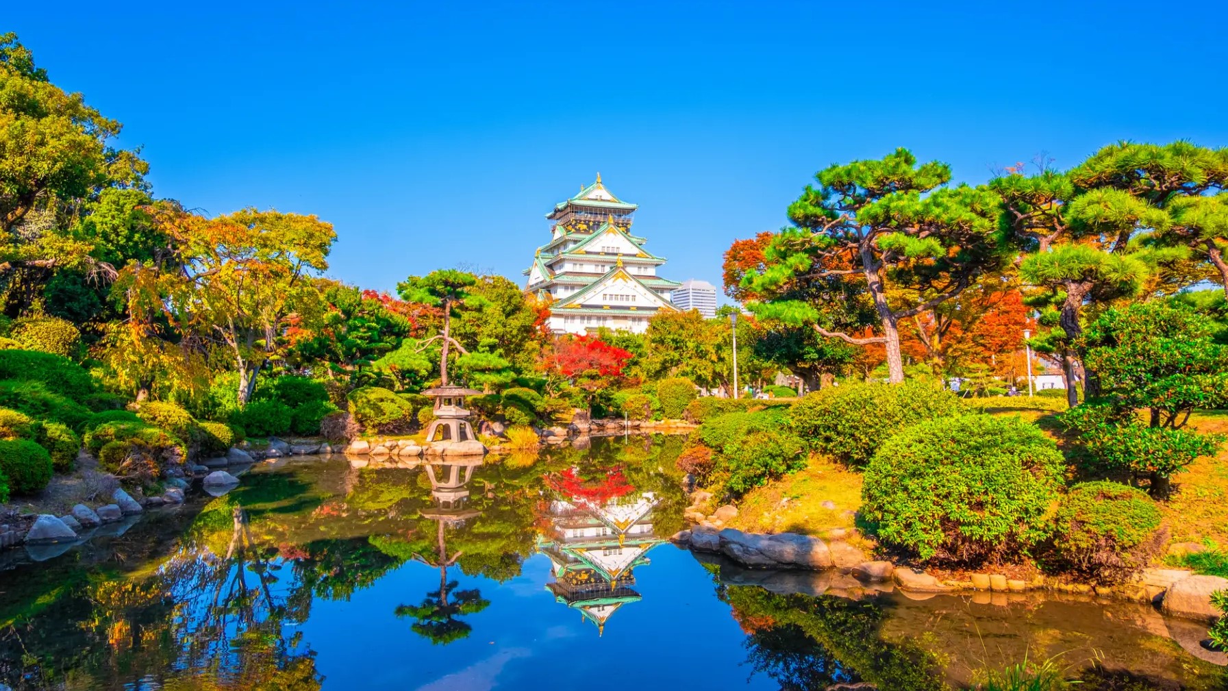 MÙA THU TRÊN CUNG ĐƯỜNG CỔ TÍCH: TOKYO - YAMANASHI - SHIRAKAWAGO - GIFU